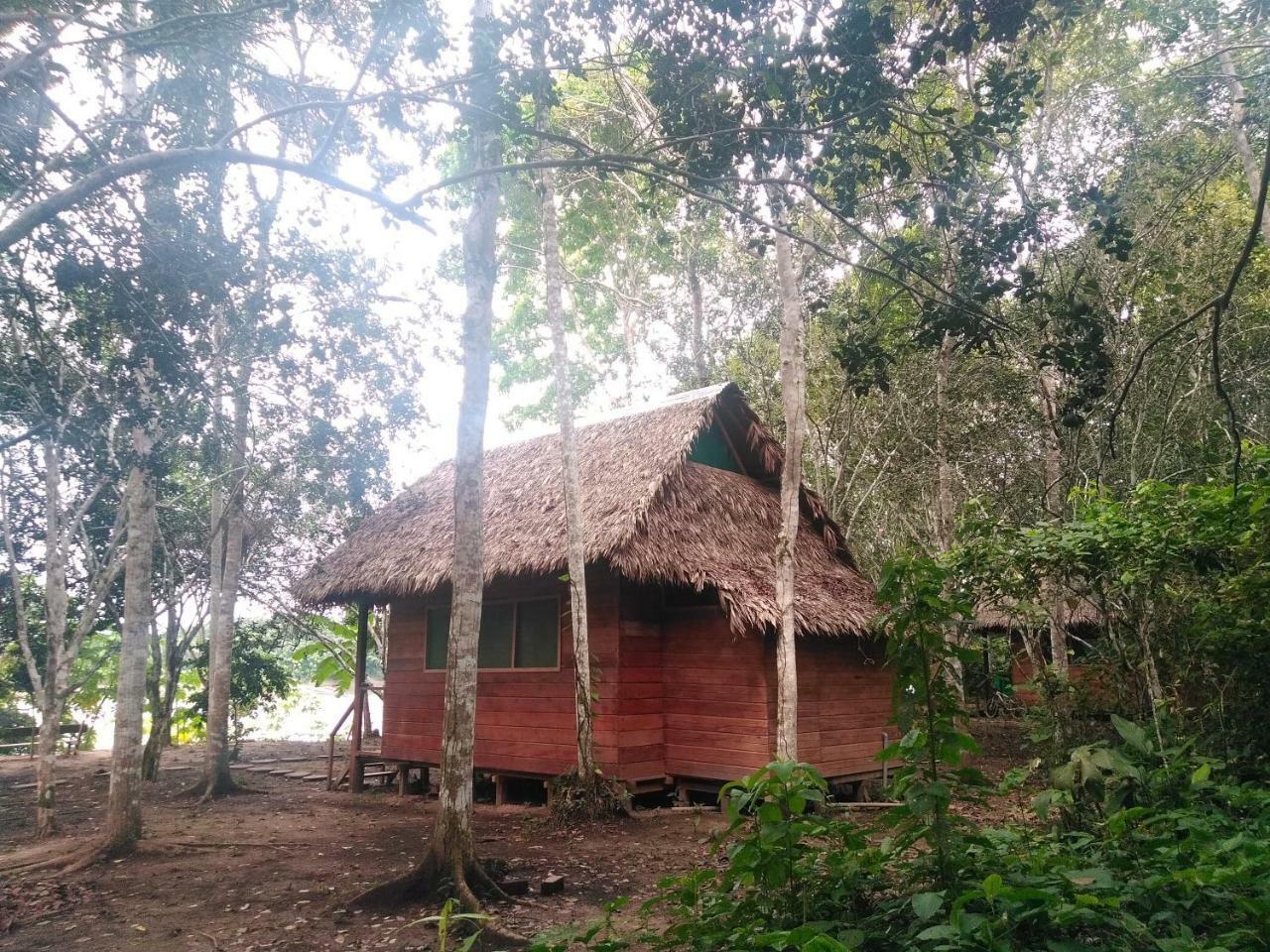 بيت شباب Majacho'S House بويرتو مالدونادو المظهر الخارجي الصورة